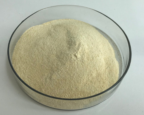 CAS 9000-70-8 Stabilizing Agent PH6.5 Halal Gelatin Powder