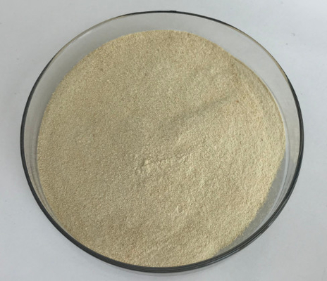 CAS 9000-70-8 Stabilizing Agent PH6.5 Halal Gelatin Powder