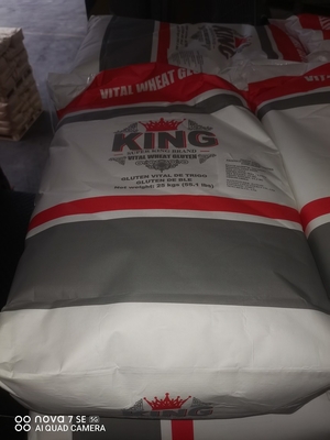 Poudre d'amidon de catégorie comestible de protéine de 13%, GMP Vital Wheat Gluten Flour